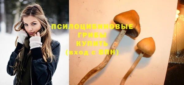 ешки Алексин