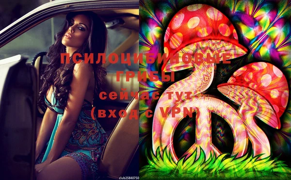PSILOCYBIN Алексеевка