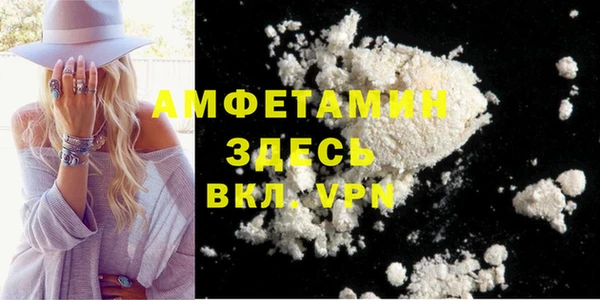 ешки Алексин
